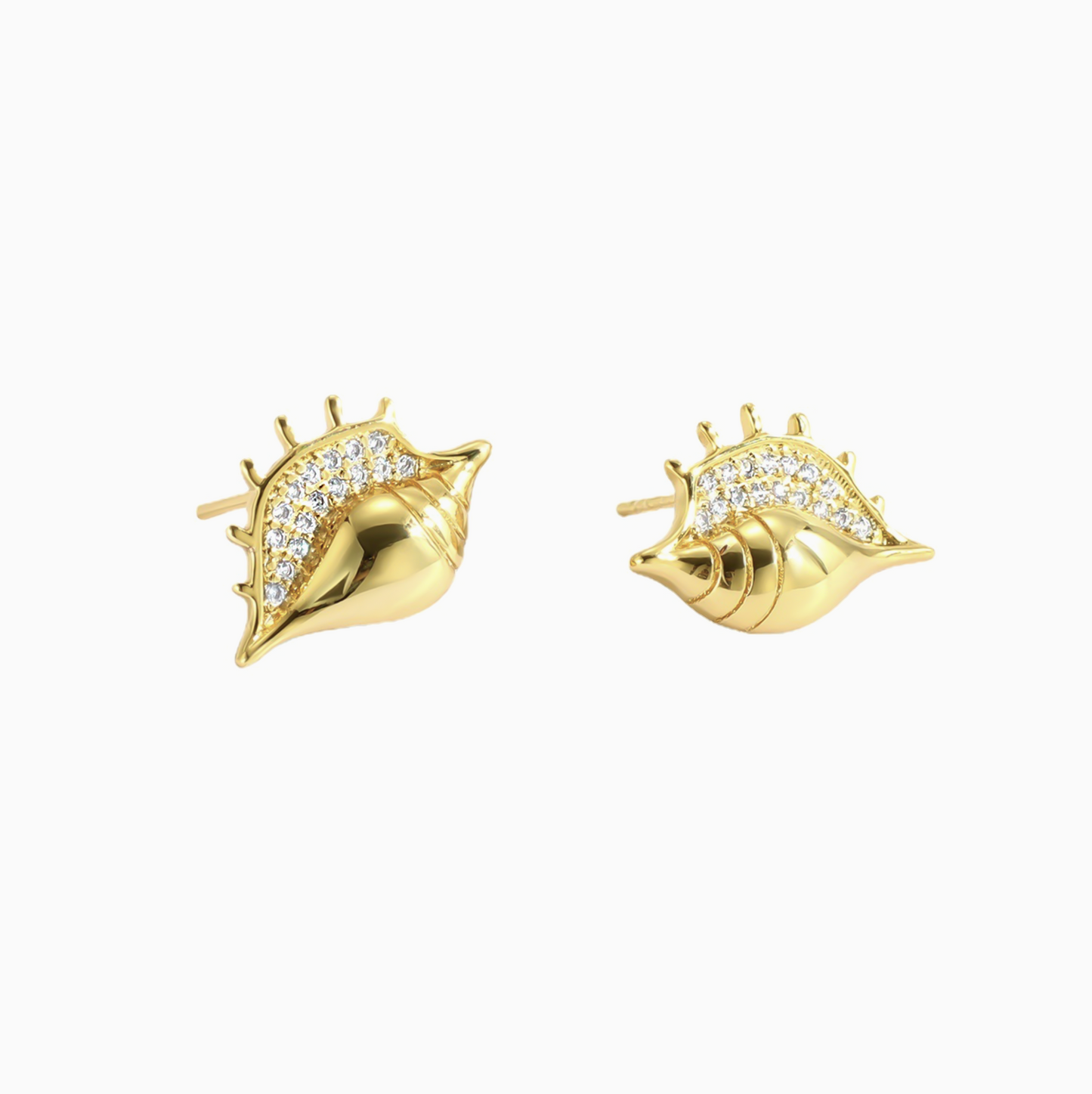 Gold Seashell Stud Earrings